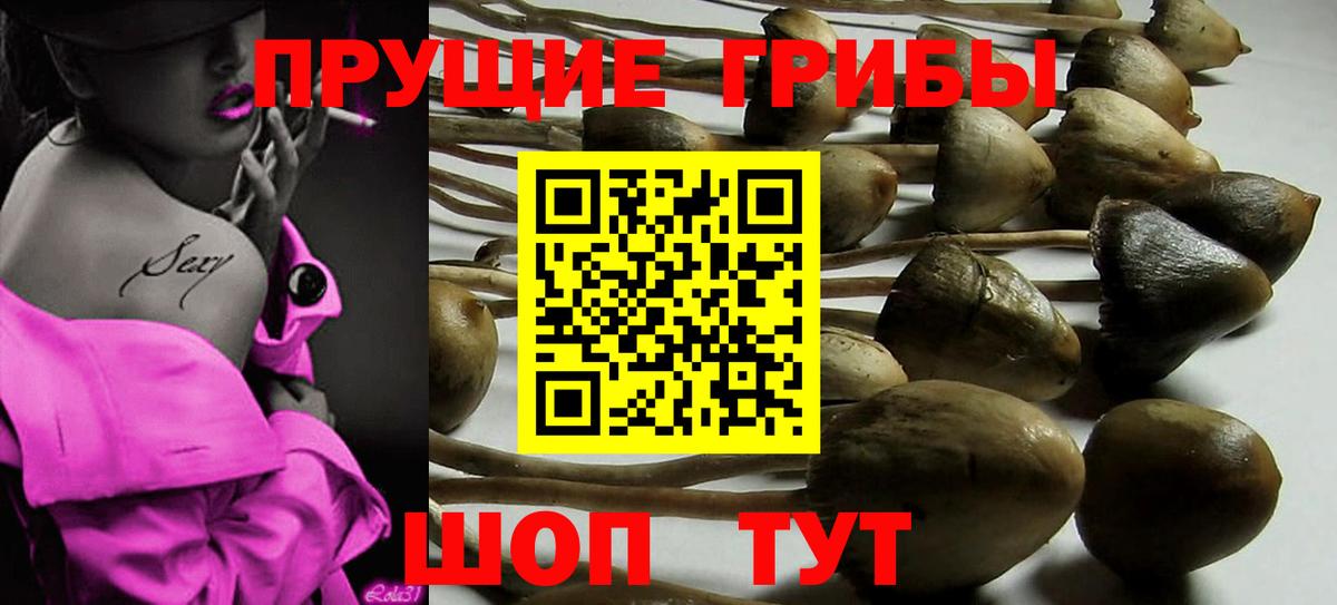 Галлюциногенные грибы мицелий  Вход с VPN  Луховицы 